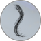 Hair
