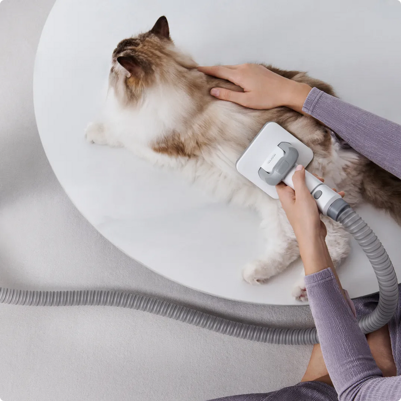 Enjoy a Quieter Grooming - 