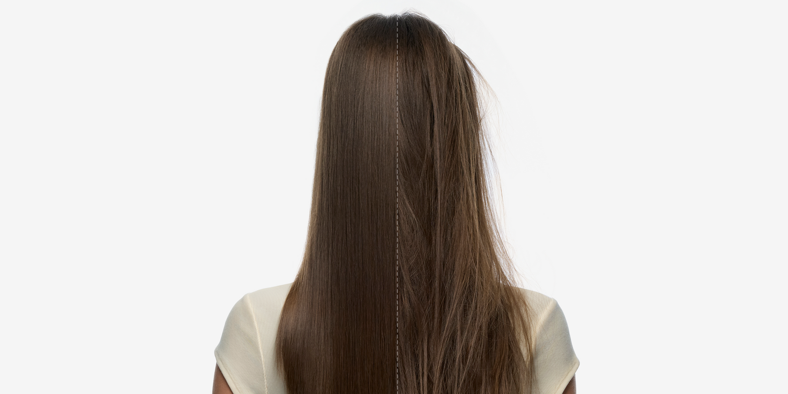 Radiance, from root to tip. - 
