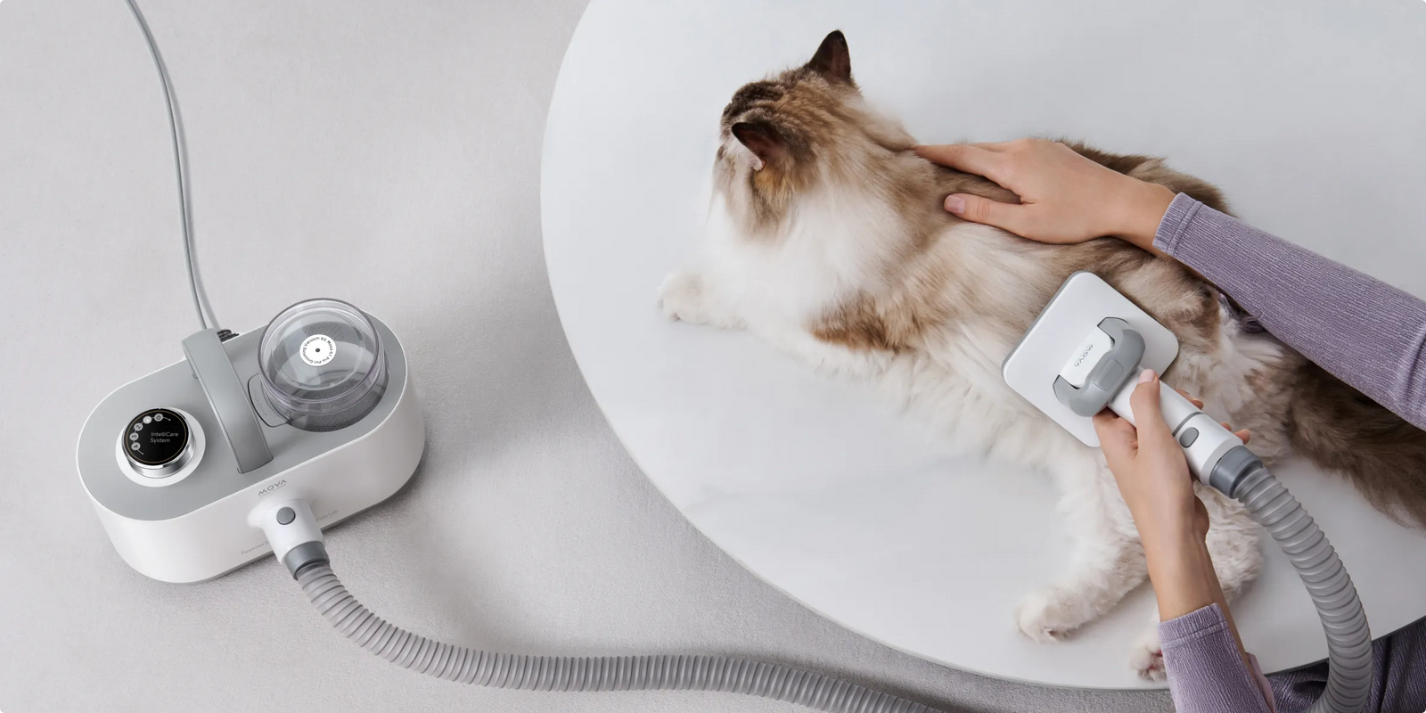 Enjoy a Quieter Grooming - 