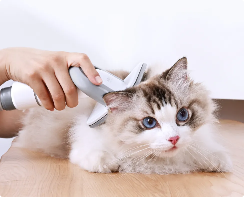 Grooming Brush