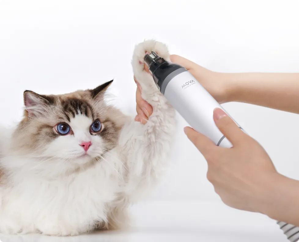Nail Grinder
