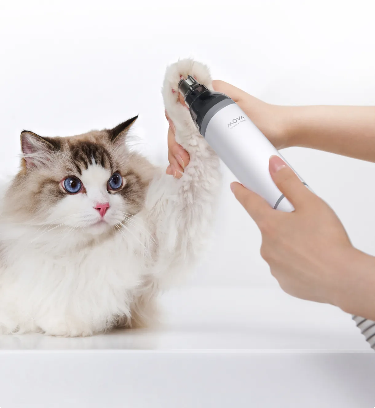 Nail Grinder