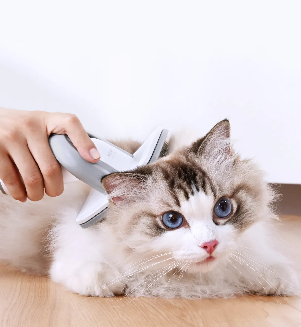 Grooming Brush