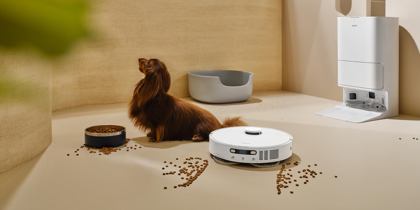 Pet Zone Cleaning Strategy - 
