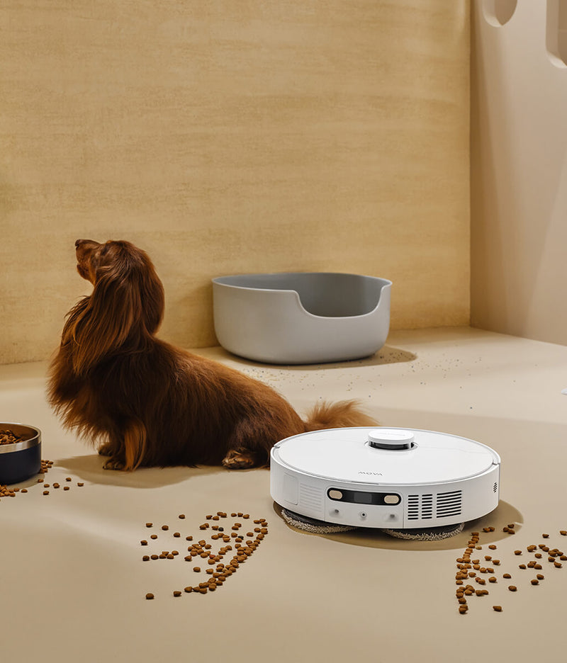 Pet Zone Cleaning Strategy - 