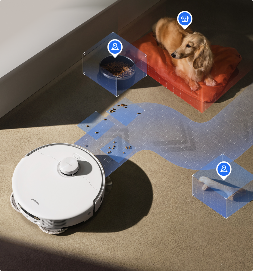 A Pet-Friendly  Home is a Tap Away - 