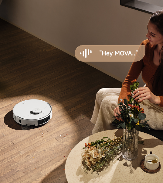 Hands-Free Voice Control - 