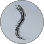 Hair