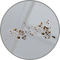 Dust