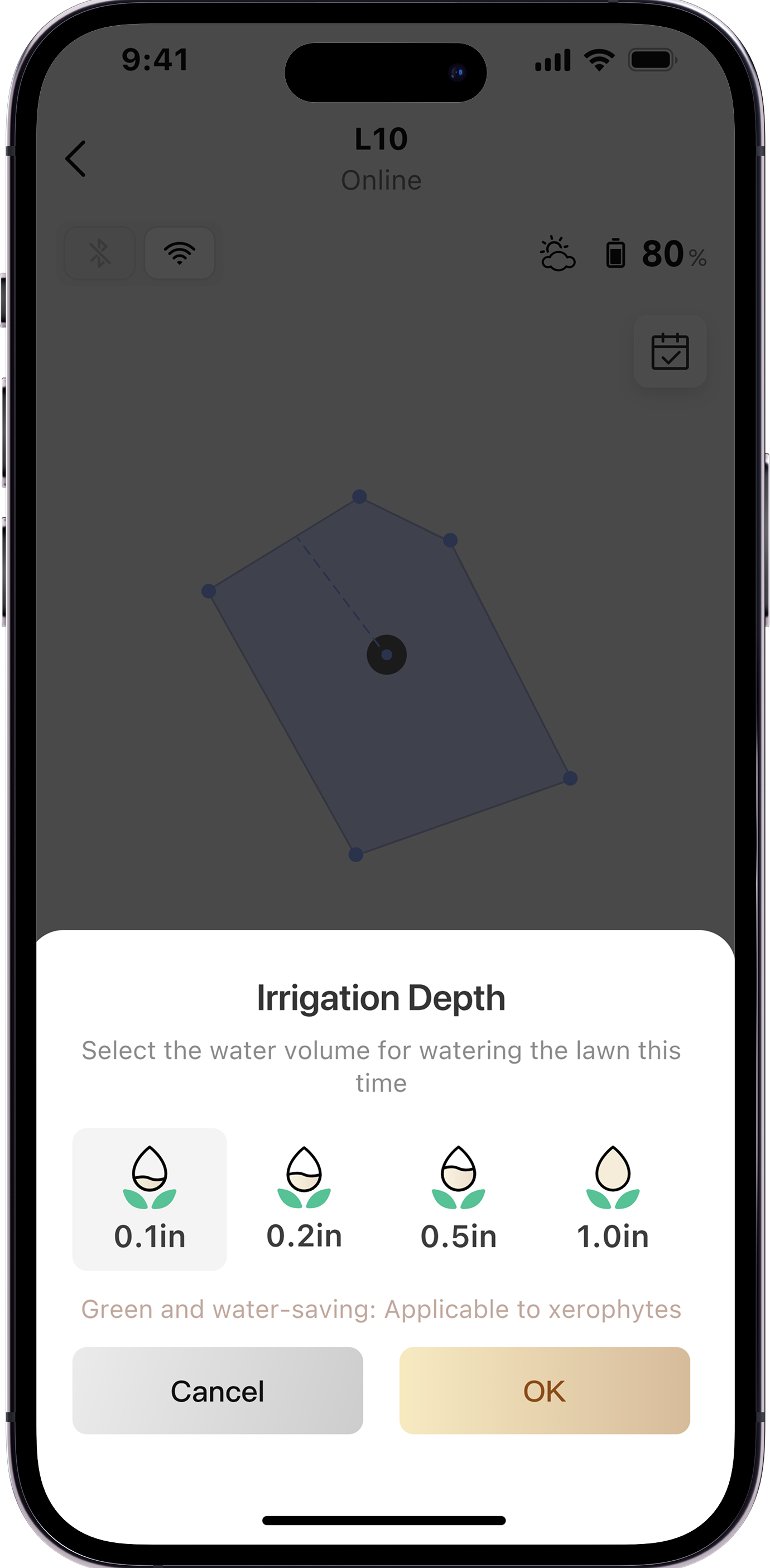 Custom Irrigation Depth: