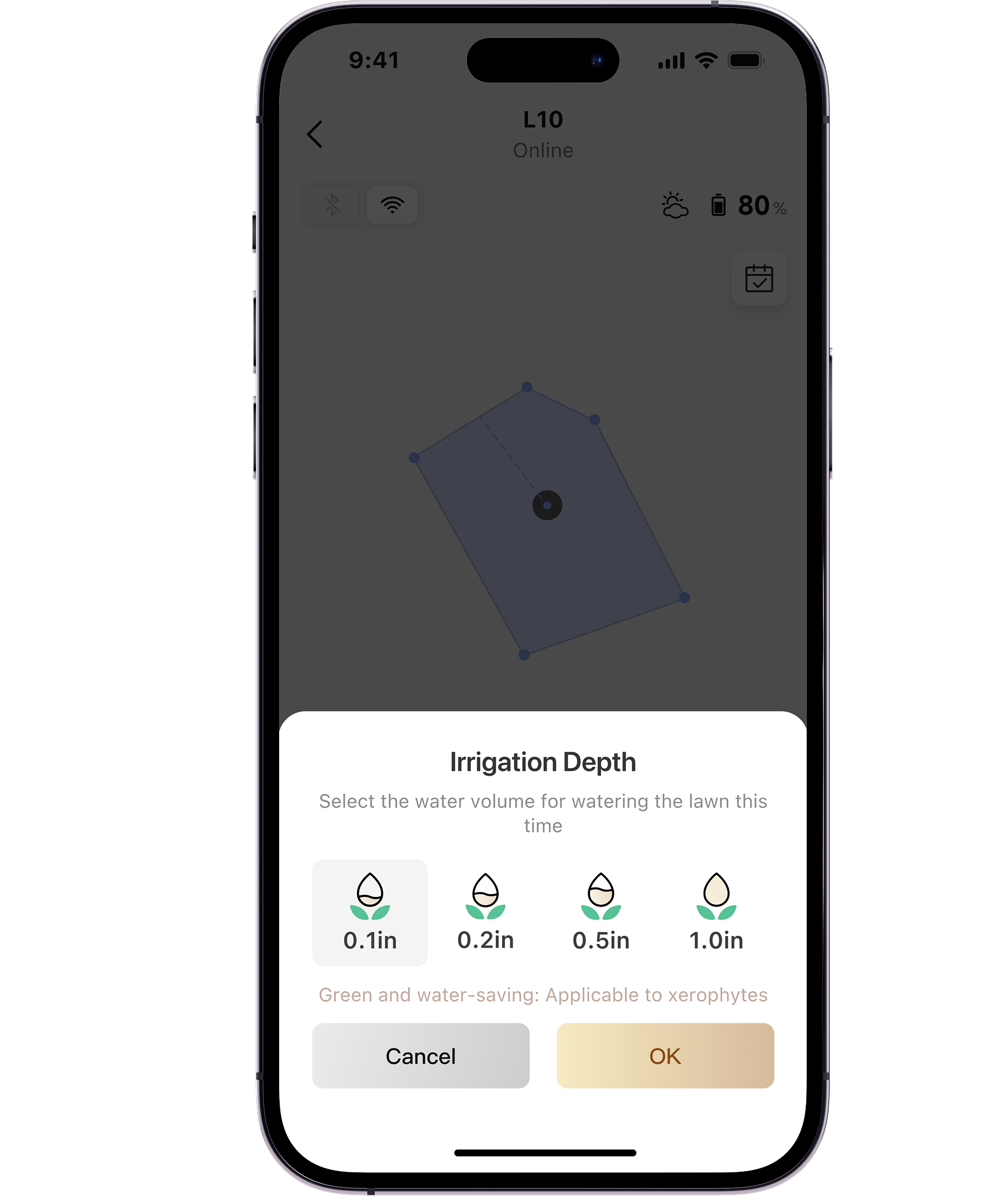 Custom Irrigation Depth: