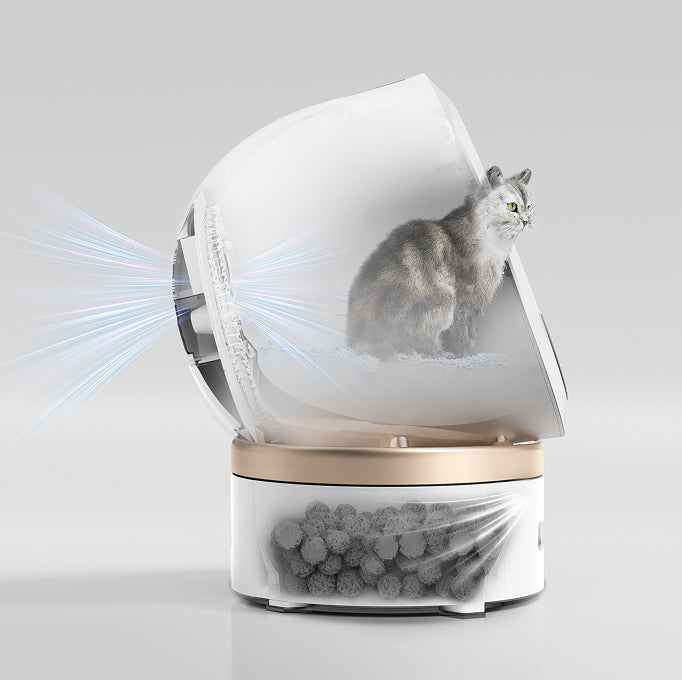 mova lr10 prime dual-chamber refreshing system - 