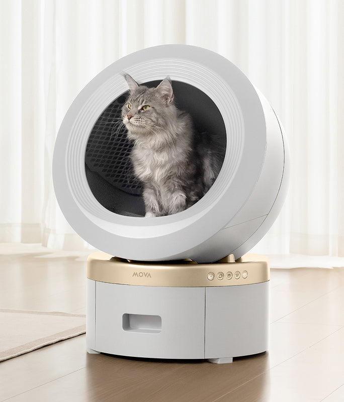 mova lr10 prime comfort scene - 