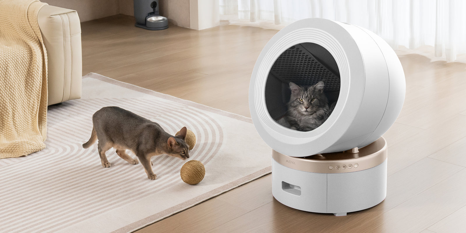 mova lr10 prime smart pet-care scene - 