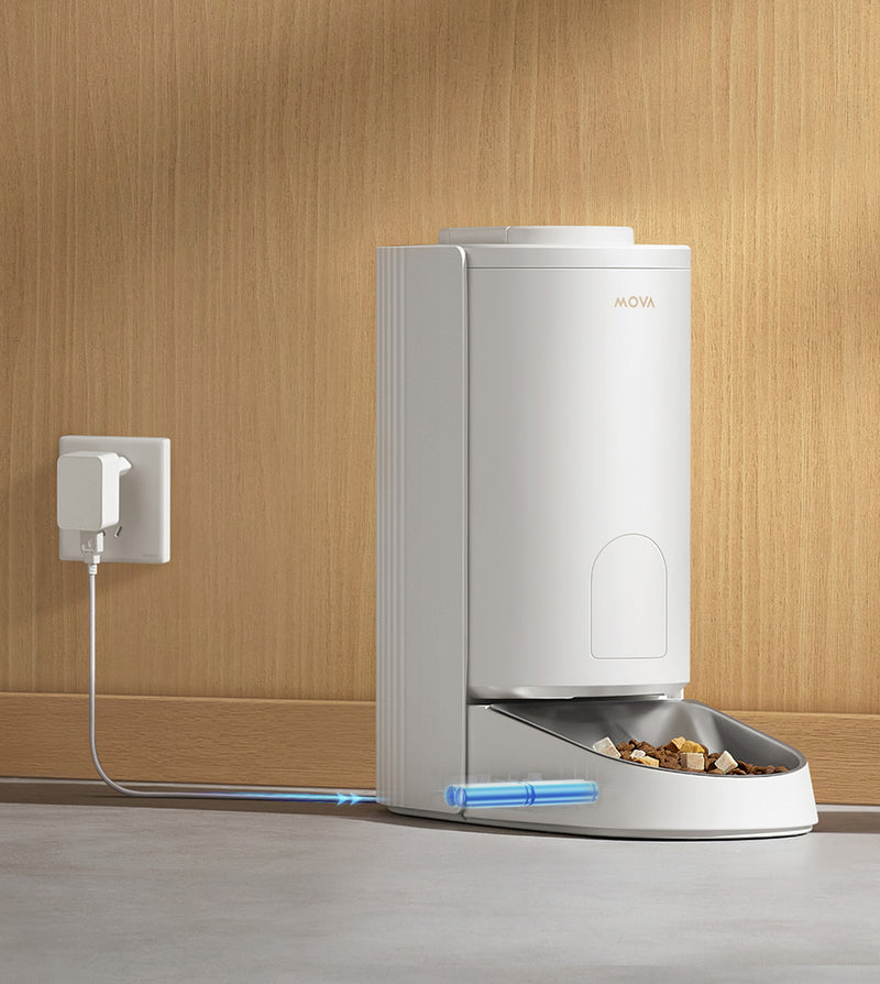 Dual Power Sources 
for Reliable Backup - 