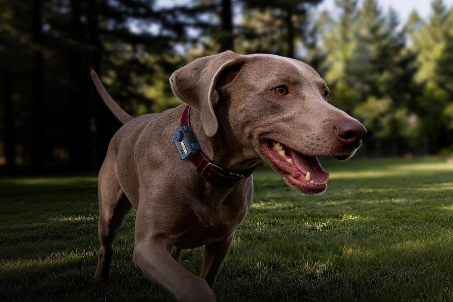 Remote Voice Recall* - 