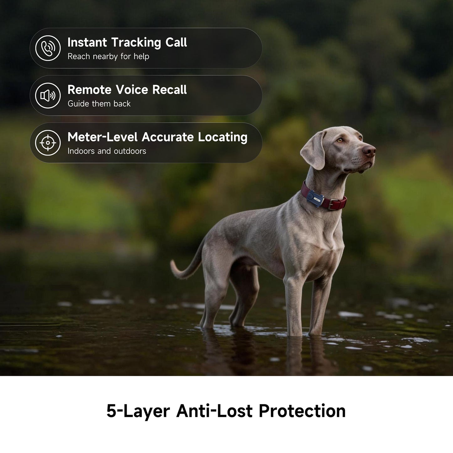 MOVA SureTrack Pro Pet GPS Tracker