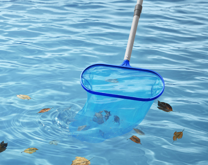 Complete Bottom-to-Surface Cleaning with Skimmer - 