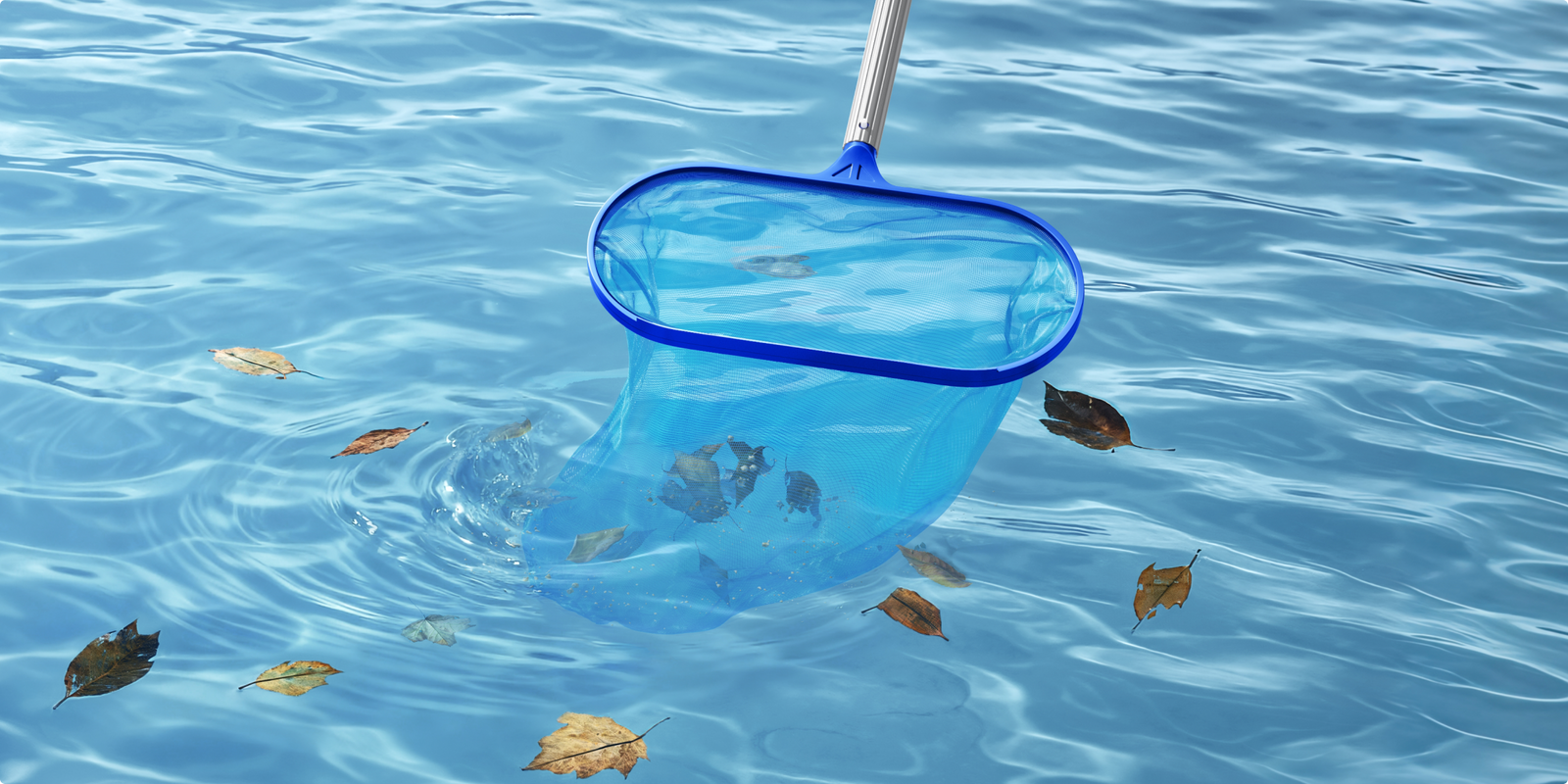 Complete Bottom-to-Surface Cleaning with Skimmer - 