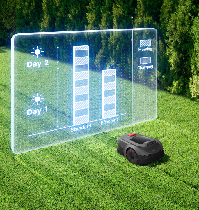 Adjustable Mowing Efficiency - 