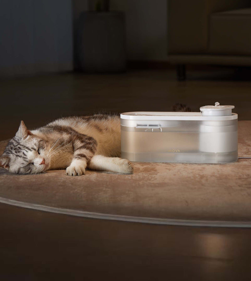 Pet Refreshment without Disturbance - 