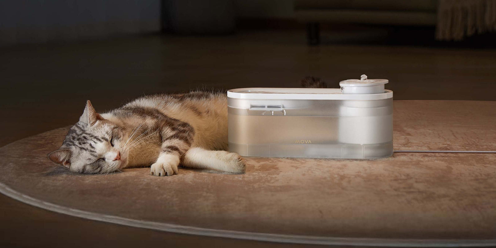 Pet Refreshment without Disturbance - 