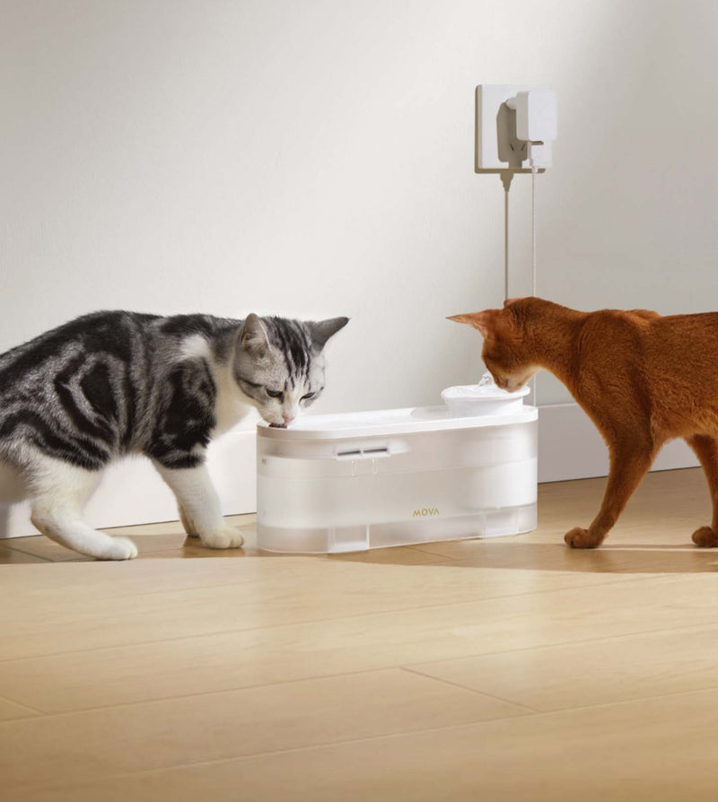 Share Hydration, Share the Love - 