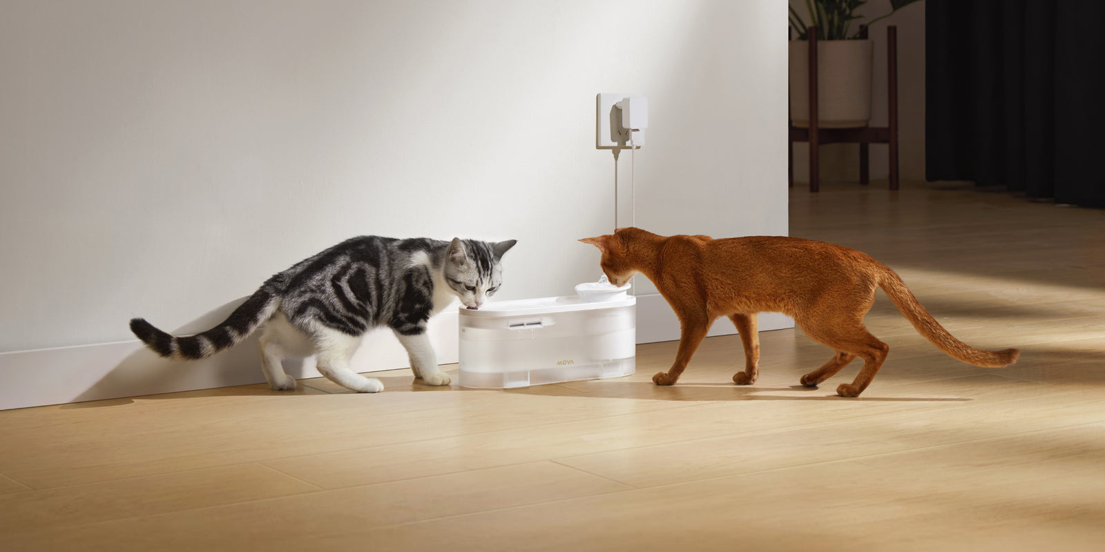 Share Hydration, Share the Love - 