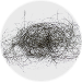 Hairs