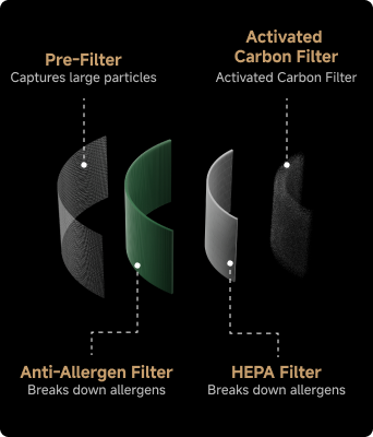 Reduce Allergy Risks at the Source - 